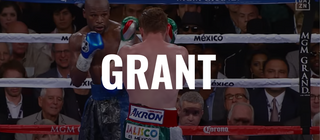 Guantoni da Boxe Grant: caratteristiche tecniche