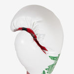 Guantoni Cleto Reyes Professional CB2 Bianco-rosso Mexican con lacci-Combat Arena