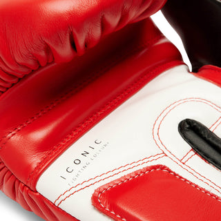 Luvas de Boxe Leone Iconic GN208