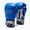 Luvas de Boxe Leone Iconic GN208